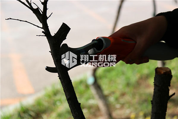 香港码料大全