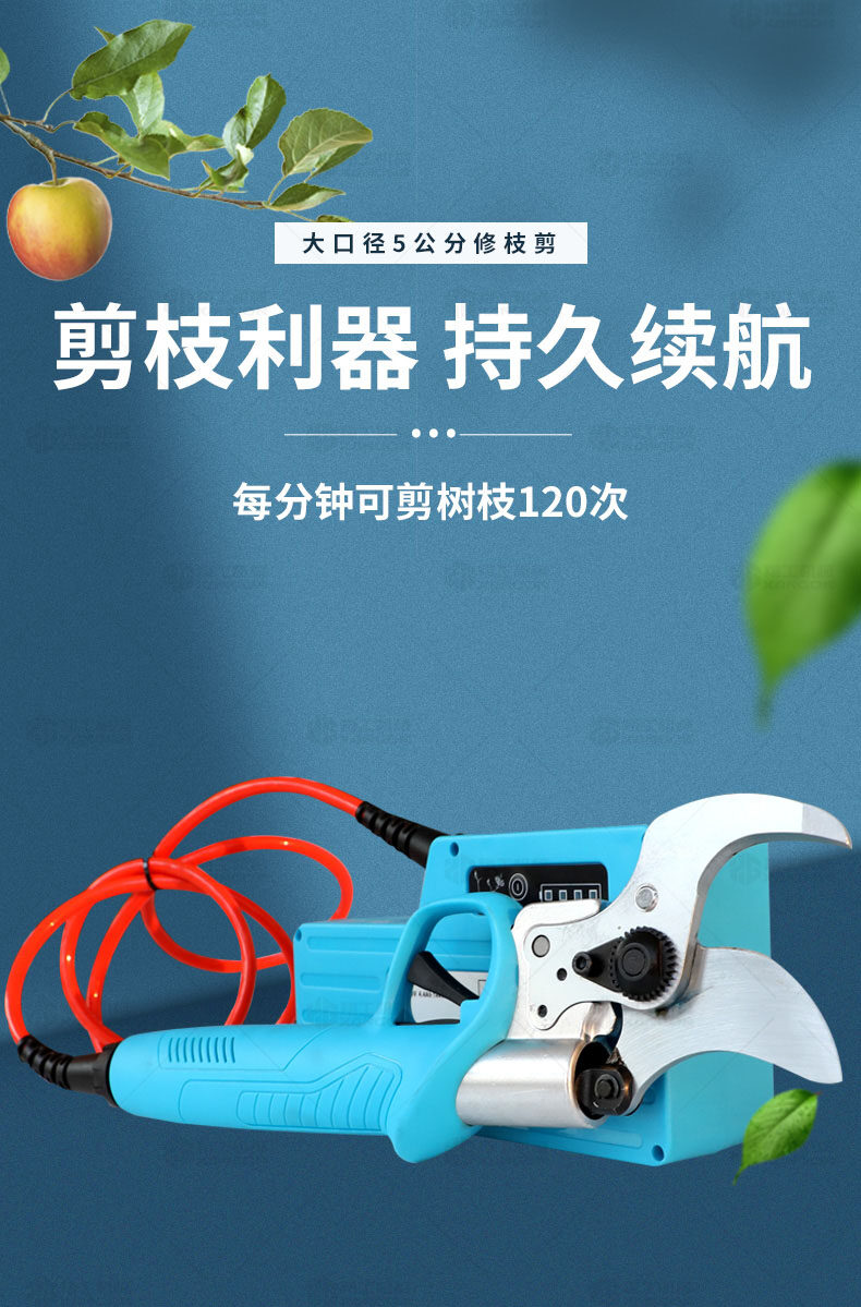 香港码料大全