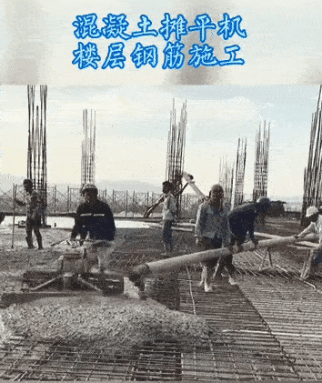 香港码料大全