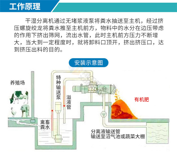 香港码料大全