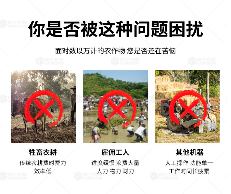 香港码料大全