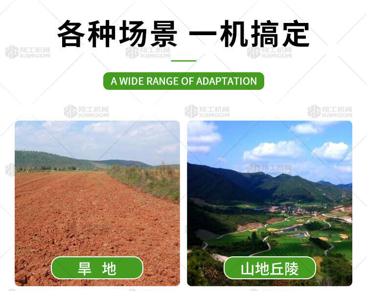 香港码料大全