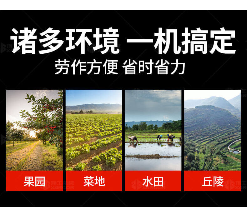 香港码料大全