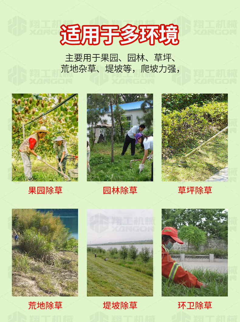 香港码料大全