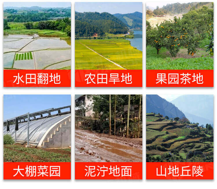 香港码料大全
