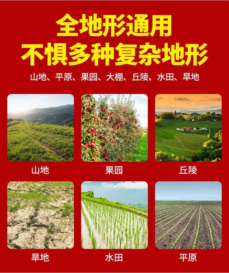 香港码料大全