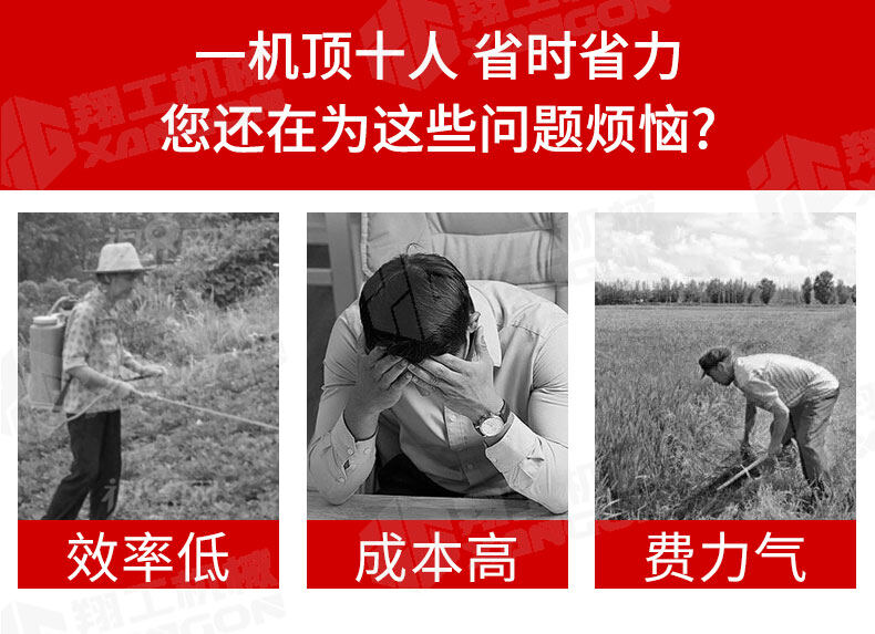 香港码料大全