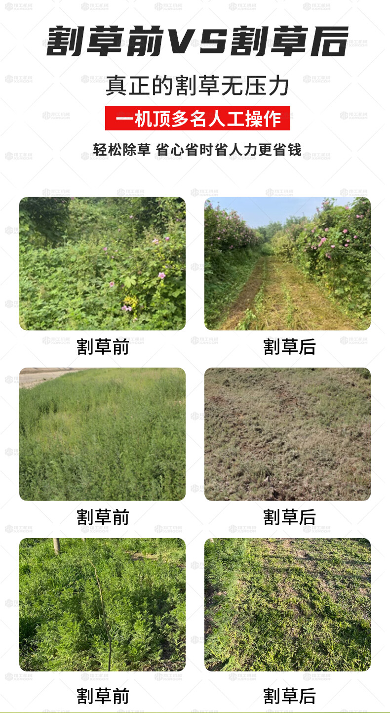 香港码料大全