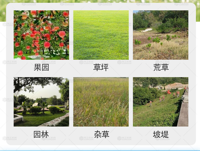 香港码料大全