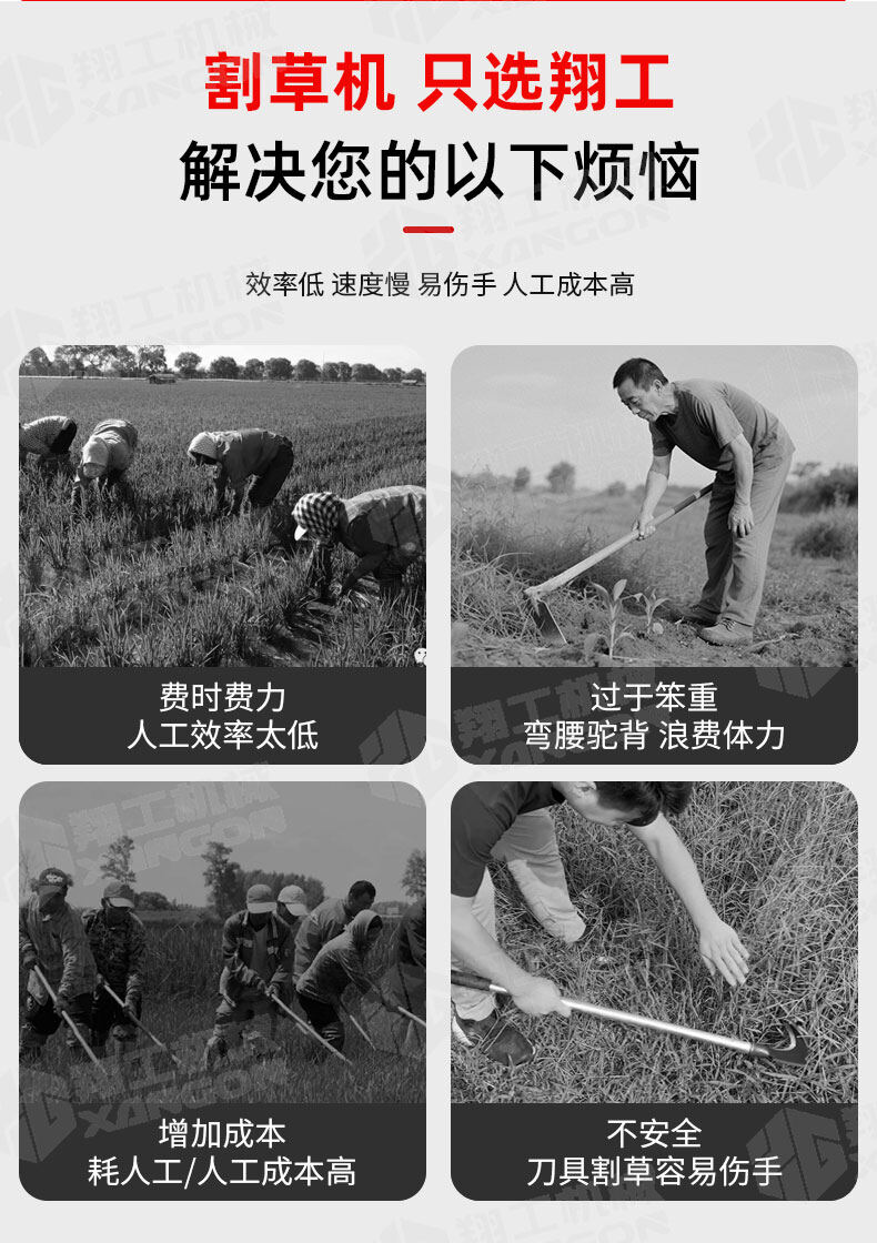 香港码料大全