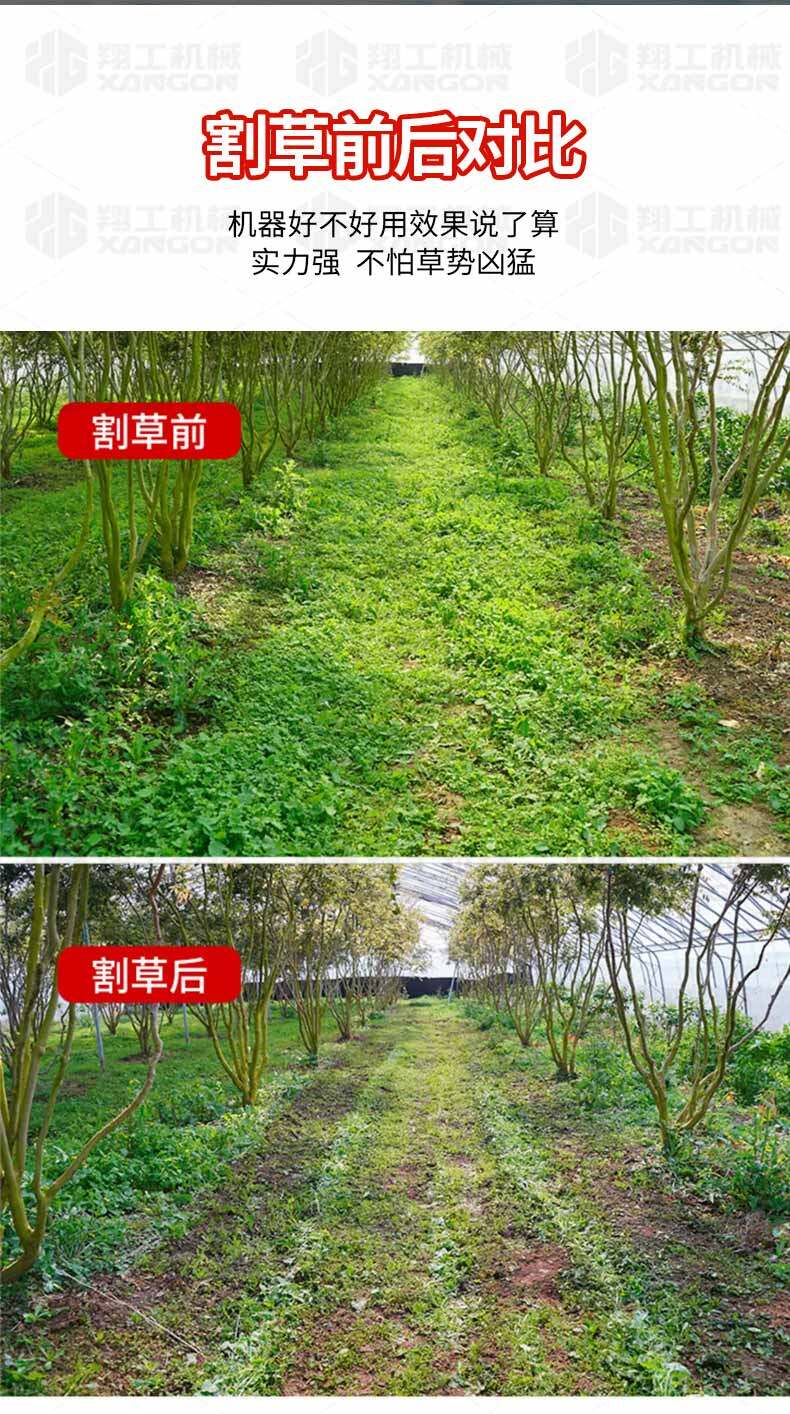 香港码料大全