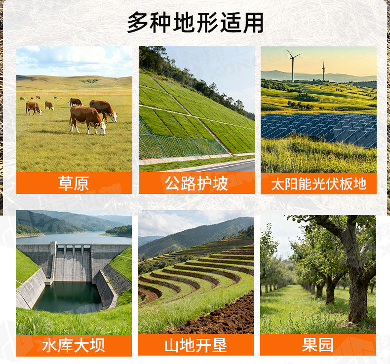 香港码料大全